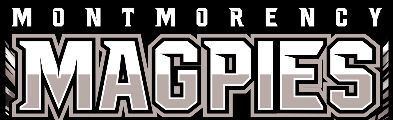Montmorency Junior Football Club