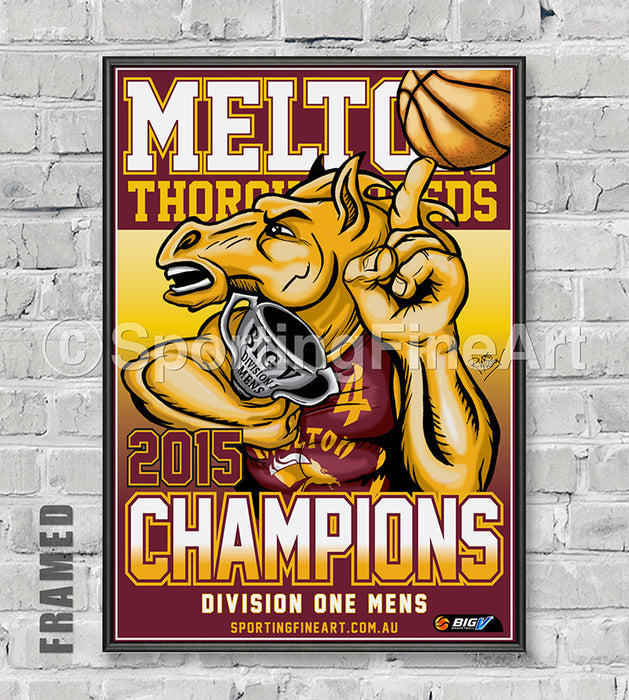 Melton Thoroughbreds 2015 Premiership Poster